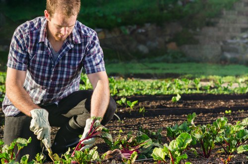 Gardener tending to a community garden in West Ham, showing plants and tools.