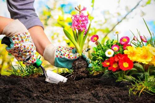 Gardener wearing protective equipment operating a strimmer safely