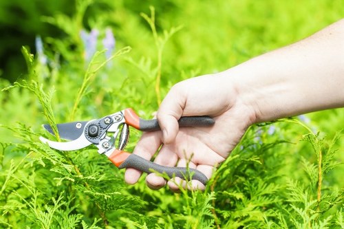 Hedge trimming by professional gardeners