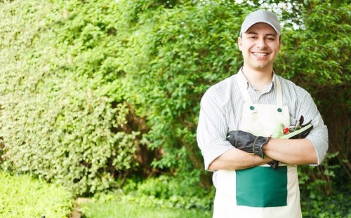 Professional garden care by Gardeners West Ham