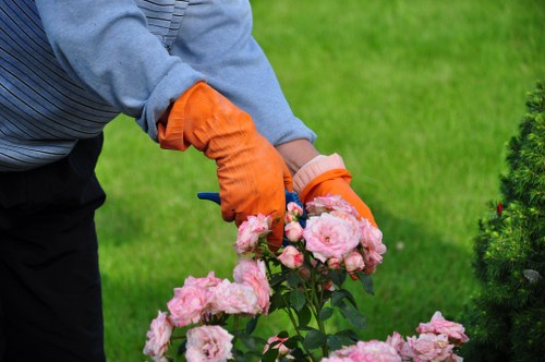West Ham gardening team designing a landscape